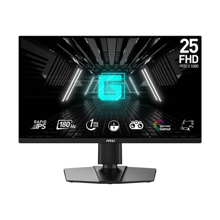 MSI G255PF E2 25 Inch (24.5 Inch Viewable) FHD Display Dual HDMI DP Gaming Monitor